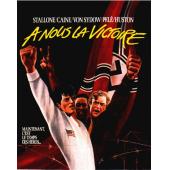 SJ-4937B 胜利大逃亡（第二版） 