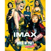 LJ-1656A 猛禽小队和哈莉·奎茵 