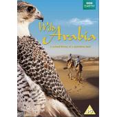 4GBD25D7792 BBC:野性阿拉伯