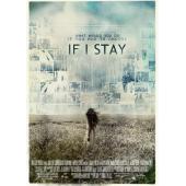 4GBD256516 如果我留下