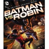 4GBD256824 蝙蝠侠大战罗宾