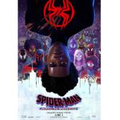 TW-3587	蜘蛛侠：纵横宇宙 