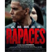 SJ-17252 鸷鸟盘桓 