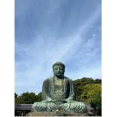 4GBD25D9442 镰仓百景--巡迴寺社和路、季节古都之旅 	