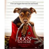 SJ-3872A 一条狗的回家路 