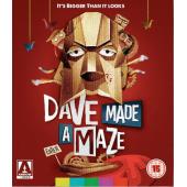 SJ-7751	戴夫造了个迷宫 