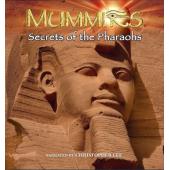 4GBD25D8657 木乃伊法老之谜