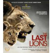 4GBD25D8740 最后的狮子