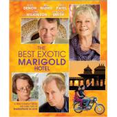 4GBD259206 涉外大酒店