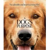 LJ-1110A 一条狗的使命1-2【2碟】