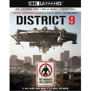 4GBD258531 第九区