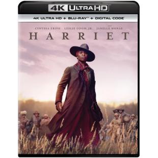 4GBD251051 哈丽特 