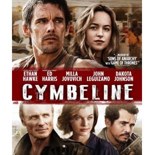 4GBD256891 辛白林