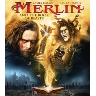 LBD-U2295 梅林和野兽之书