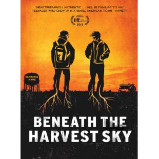 LBD-U1811 收获的天空下 