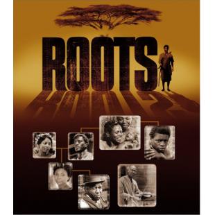 SJ-2731A 根（3BD） 