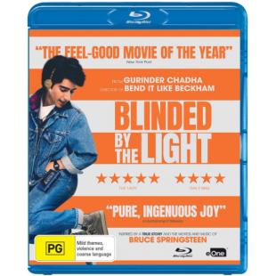 4GBD252872 光盲青春