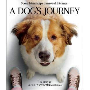 LJ-1110A 一条狗的使命1-2【2碟】