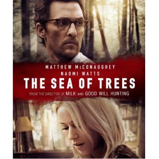 LBD-U5469 青木原树海 