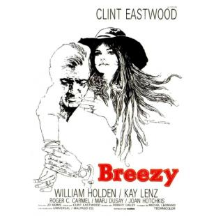 LJ-8003A 春花秋月未了情 