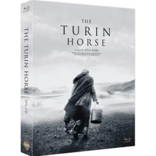 SJ-11344A 都灵之马 