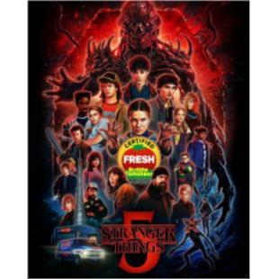 LG-M1665 怪奇物语 第1-5季【独家全套日版高配置】 