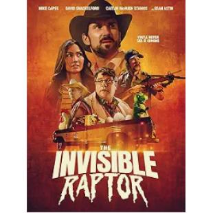 SJ-17213 隐形猛禽 