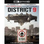 4GBD258531 第九区