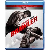 4GBD259485 地下拳赛