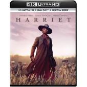 4GBD251051 哈丽特 