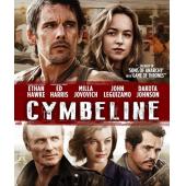 4GBD256891 辛白林