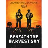 LBD-U1811 收获的天空下 