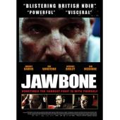 4GBD254876 下颌骨