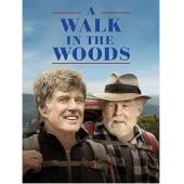 TM-2494 林中漫步