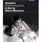 SJ-5737A 领养（4K修复版） 