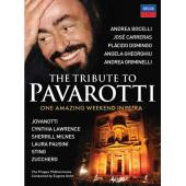 Ipad-0482 约旦佩特拉古城：帕瓦罗蒂纪念演唱会