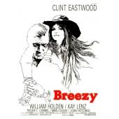 LJ-8003A 春花秋月未了情