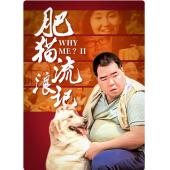 NF-01052 肥猫流浪记