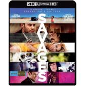 4GBD259572 野蛮人