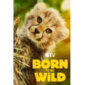 W0290 天生狂野+生而狂野(2011-2025)