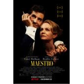 TM-R0765F 音乐大师