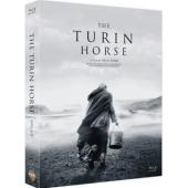 SJ-11344A 都灵之马 