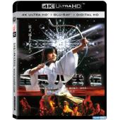 LJ-4267A 里见八犬传 