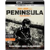 TW-0534 釜山行2：半岛 