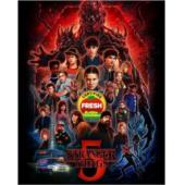 LG-M1665 怪奇物语 第1-5季【独家全套日版高配置】