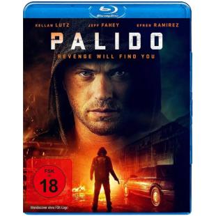 SJ-11638A 复仇杀神