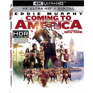 SJ-4709A 美国之旅 