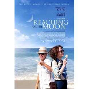 4GBD256373 握住月光