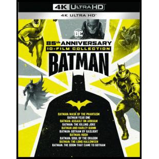 SJ-6054A 蝙蝠侠：突袭阿卡姆