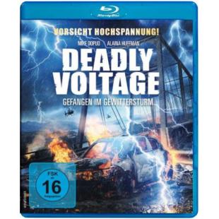 4GBD255988 致命电压